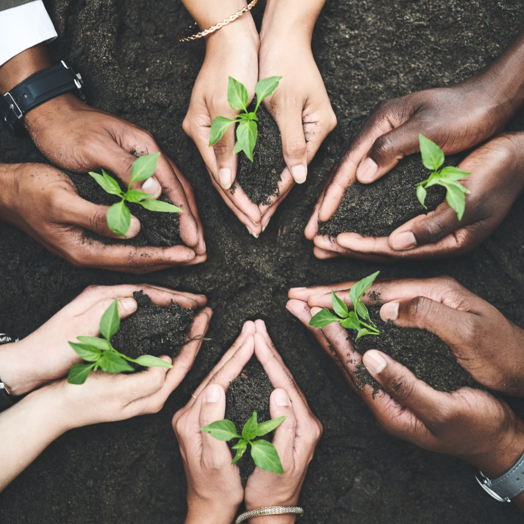 Mixed races holding planting soil and freshly sprouted plants